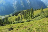 2015-07-01_1Pano-bei-Lacke (355).JPG